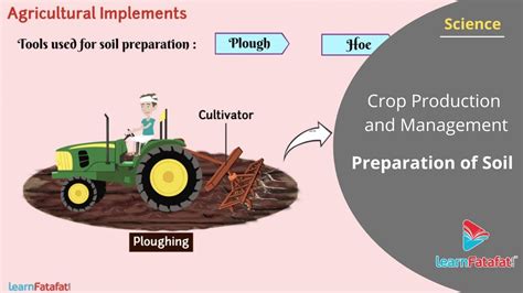  Crop Production: A Symphony of Science and Soil